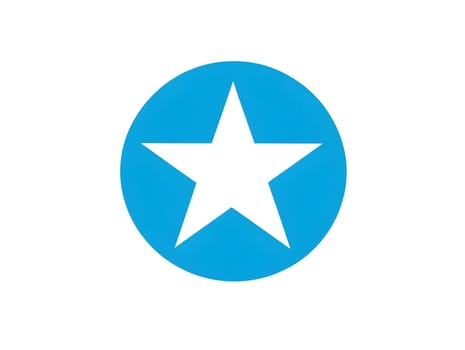 Simple Blue Star Graphic Icon logo Emblem
