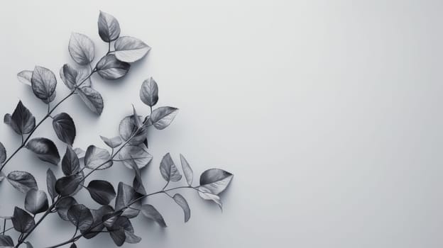 Simple, stylish background with generous blank area for copy.