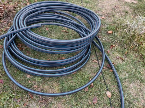 A garden hose waters a vibrant vegetable garden, providing essential hydration to rows of growing plants. This image captures the tools and care involved in nurturing a healthy, productive garden