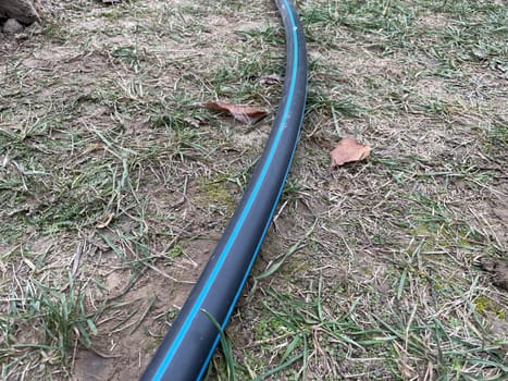 A garden hose waters a vibrant vegetable garden, providing essential hydration to rows of growing plants. This image captures the tools and care involved in nurturing a healthy, productive garden