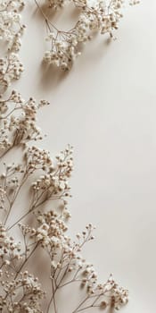 Blank background mockup arrangement for showcasing your designs.