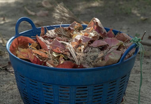 Dry leaves trash in Blue plastic basket to hold Rubbish in Public park. use it as your Space for text, Design, Wallpaper and Poster, Selective focus.