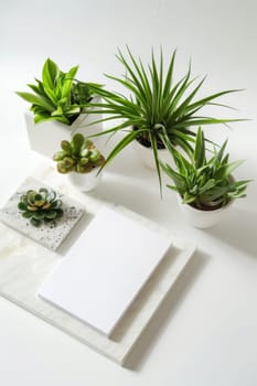 Fresh and bright mockup presentation against a pristine white backdrop.