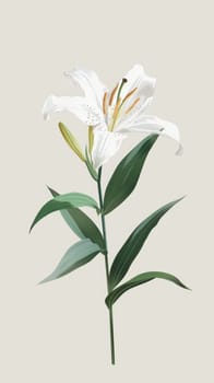 Minimalist depiction of a single white lily.