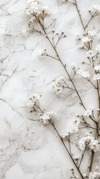 Minimalist mockup arrangement featuring a spacious copy space background.