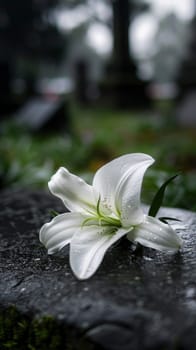 Minimalist image of a white lily on a grave.