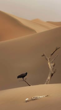 A vulture stands sentinel over a bleached human skeleton in a stark desert landscape