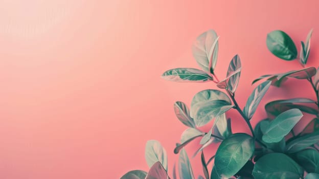 Simple background leaving space for personalized branding or text overlays