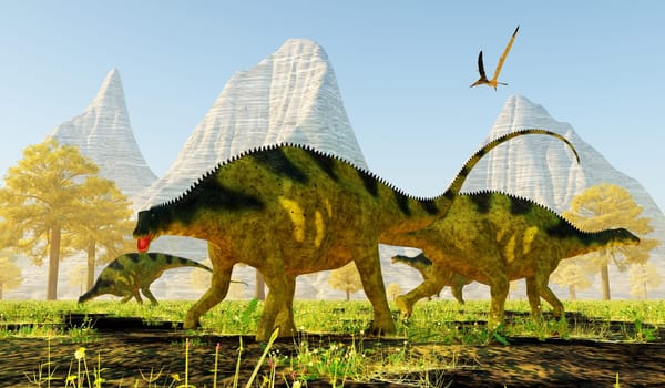 Brachytrachelopan was a sauropod herbivorous dinosaur that lived in Argentina during the Jurassic Period. A Pteranodon flies over a group of Brachytrachelopan dinosaurs eating.