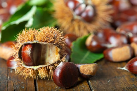 Chestnut with leaves on a wooden background