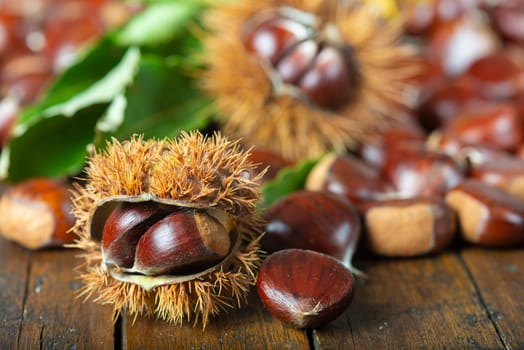 Chestnut with leaves on a wooden background
