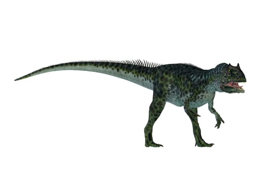 Allosaurus was a large theropod predatory dinosaur which lived in the late Jurassic period. Fossils found in North America's Morrison Formation.