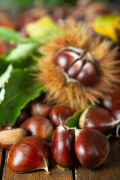 Chestnut with leaves on a wooden background