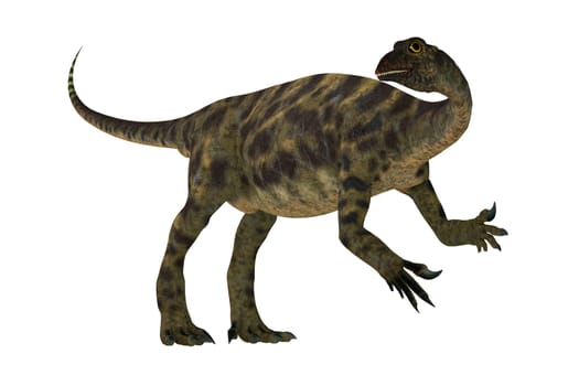 Anchisaurus was a omnivorous prosauropod dinosaur that lived in the Jurassic Periods of North America, Europe and Africa.