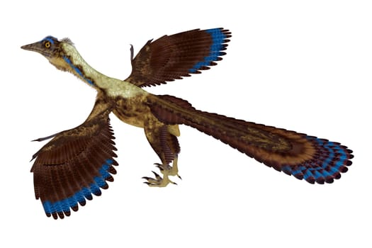 Feathered Archaeopteryx was a carnivorous Pterosaur reptile that lived in Germany during the Jurassic Period.