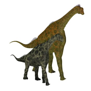Atlasaurus was a herbivorous sauropod dinosaur that lived in Morocco, North Africa during the Jurassic Period.
