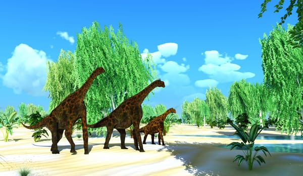 Atlasaurus was a large herbivorous dinosaur that lived in the Jurassic Period of Morocco, North Africa. Two Atlasaurus dinosaurs escort a juvenile to a pond.