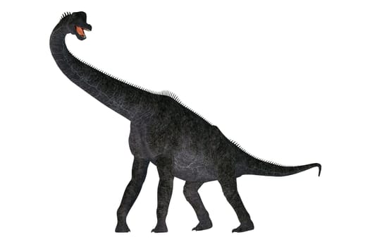 Brachiosaurus was a herbivorous sauropod dinosaur that lived in North America during the Jurassic Period.