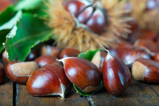 Chestnut with leaves on a wooden background