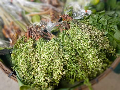 Fresh organic vegetables at local farmers market, stock photo