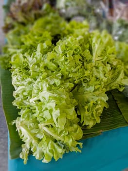 Fresh organic vegetables at local farmers market, stock photo