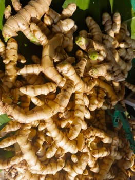 Fresh organic vegetables at local farmers market, stock photo