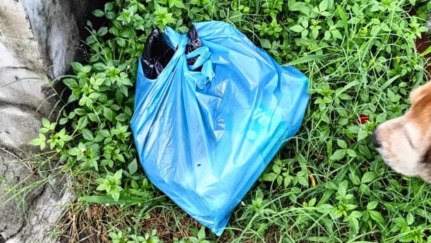 A blue trash bag is abandoned in a patch of overgrown grass beside a concrete wall. Symbolizes environmental neglect and urban waste issues.