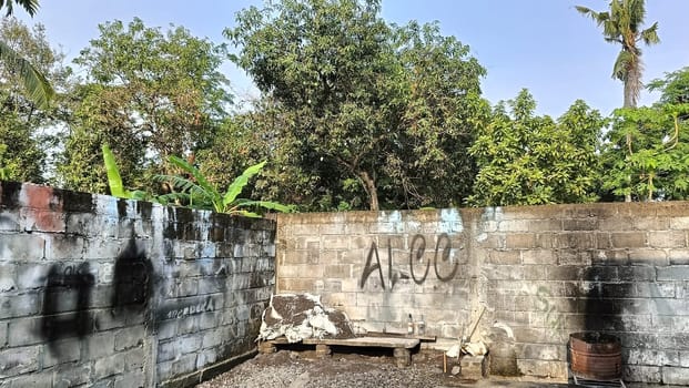 An urban scene featuring graffiti on a weathered wall, surrounded by lush greenery and clear blue sky. The contrast between nature and urban art is striking and visually engaging.