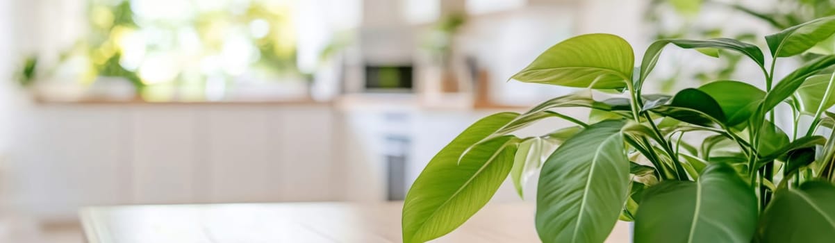 Empty kitchen table with green plant in bright home interior with large windows, banner mockup background with copy space, AI Generated