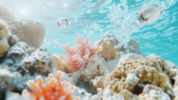 Tropical fishes swimming near white coral reef ocean underwater, serene aquatic background, AI Generated
