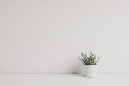 Fresh and bright mockup arrangement against a minimalist white backdrop.