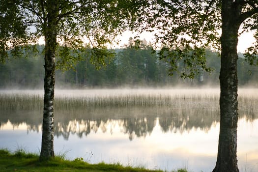 View through trees on a lake, with fog in Sweden, at dawn. Romantic silence in the Scandinavian countryside