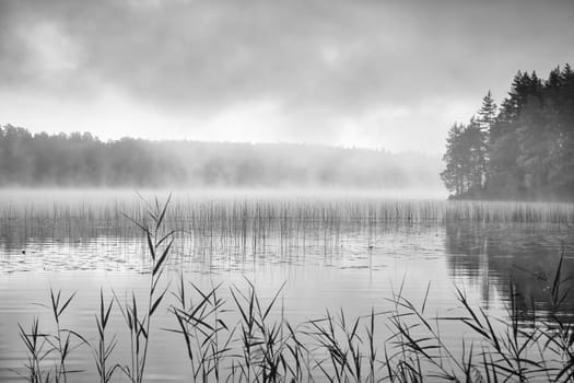 Fog over a lake in Sweden at dawn in black and white. Romantic silence, in the Scandinavian nature