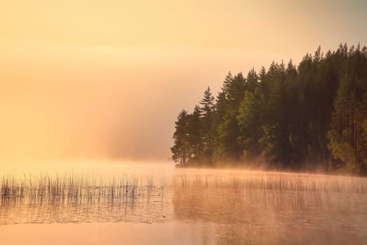 Sunrise with fog forming over a lake in Sweden, at dawn. Romantic silence, in the Scandinavian nature