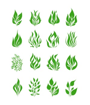 green leaves icon set vector