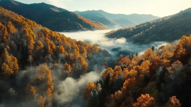 sunlight casting over foggy mountains and an autumn forest. AI generative.