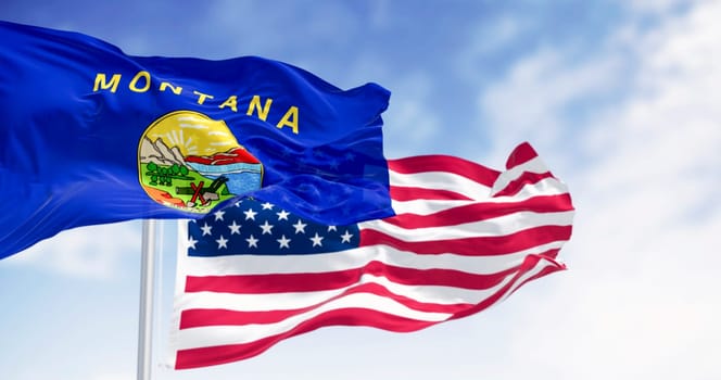 Montana state flags waving in the wind with the American flag on a clear day. US state flag. Patriotism and national pride. Seamless 3d render animation. Slow motion loop. Selective focus