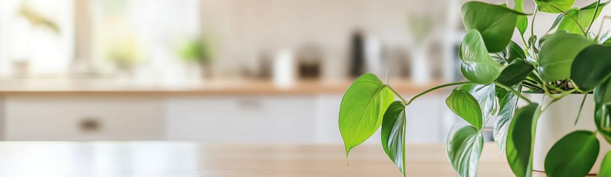 Empty kitchen table with green plant in bright home interior with large windows, banner mockup background with copy space, AI Generated