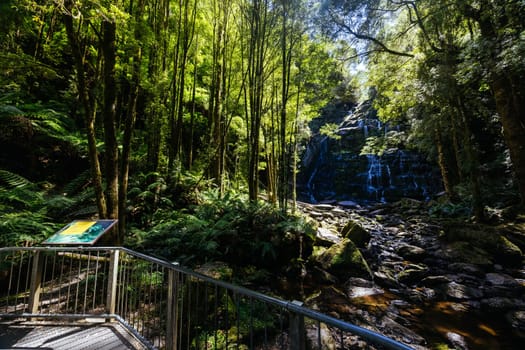 The majestic Nelson Falls and surrounding landscape in Franklin-Gordon Wild Rivers National Park on a hot summer's day in Tasmania, Australia