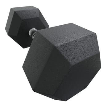 Blank Hex Dumbbell, weightlifting gym equipment, wide angle view, isolated on white background. 3D illustration
