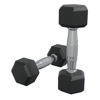 Blank Two Hex Dumbbells, weightlifting gym equipment, isolated on white background. 3D illustration