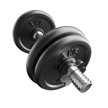 Cast Iron Black Adjustable Dumbbell, weightlifting gym equipment, wide angle view, isolated on white background. 3D illustration