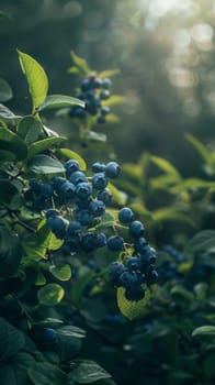 Backlit blueberry sprigs with vibrant green leaves and dark, glistening berries, creating an ethereal and captivating natural scene
