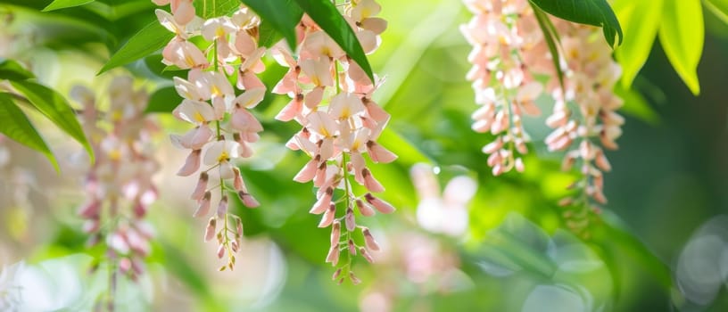 A stunning, ethereal cascade of delicate pink wisteria flowers flowing over a garden, creating a dreamlike and romantic natural spectacle