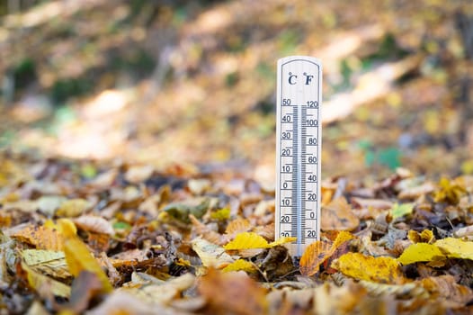 Thermometer with autumn foliage, fall season, measure the temperature, weather forecast, cold rainy day