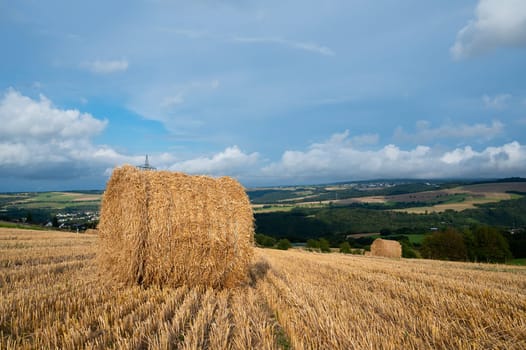 Straw bale on the field, cultivated barley, harvest in the summer, agriculture for food, farmland on the countryside
