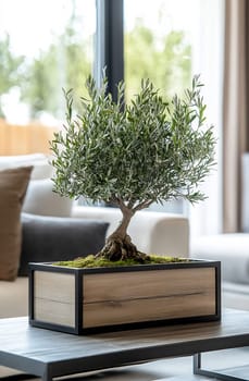 A decorative olive tree in a wooden pot enhances the contemporary style of a cozy living room with natural light.