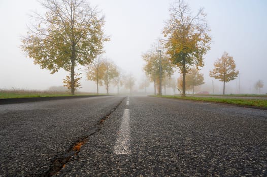 Foggy road, rain, moisture, fog on an autumn morning, low visibility, slippery street, overcast weather