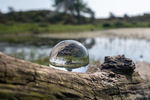 A small lake in green nature is reflected in a glass ball, the ball lies on a large branch