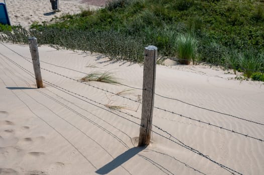 Barbed wire fence in the sand dunes with beach grass